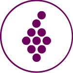 ikona-vivino-popis